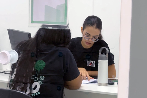 Mentorias individuais e coletivas